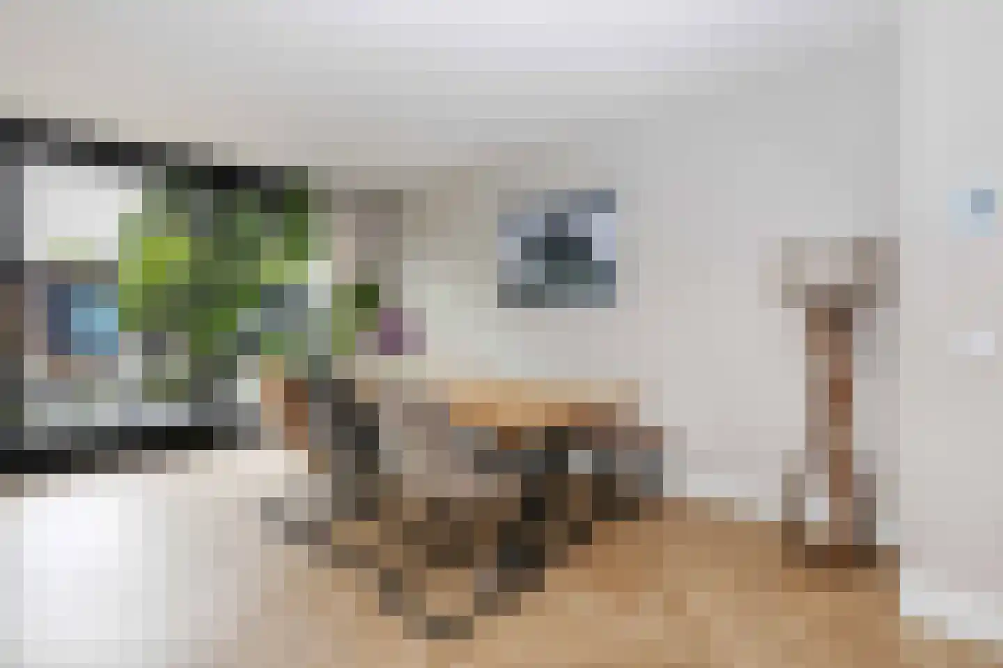 Kolkrijst 5 Hoogland thumbnail 13