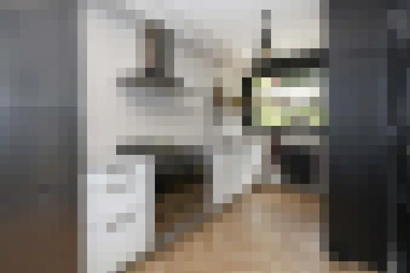 Kolkrijst 5 Hoogland thumbnail 14