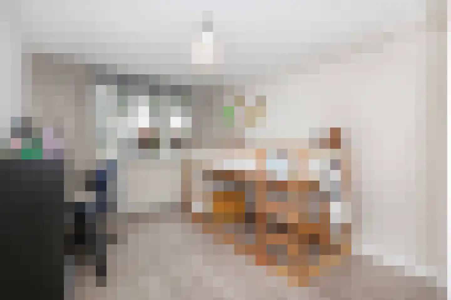 Kolkrijst 5 Hoogland thumbnail 18