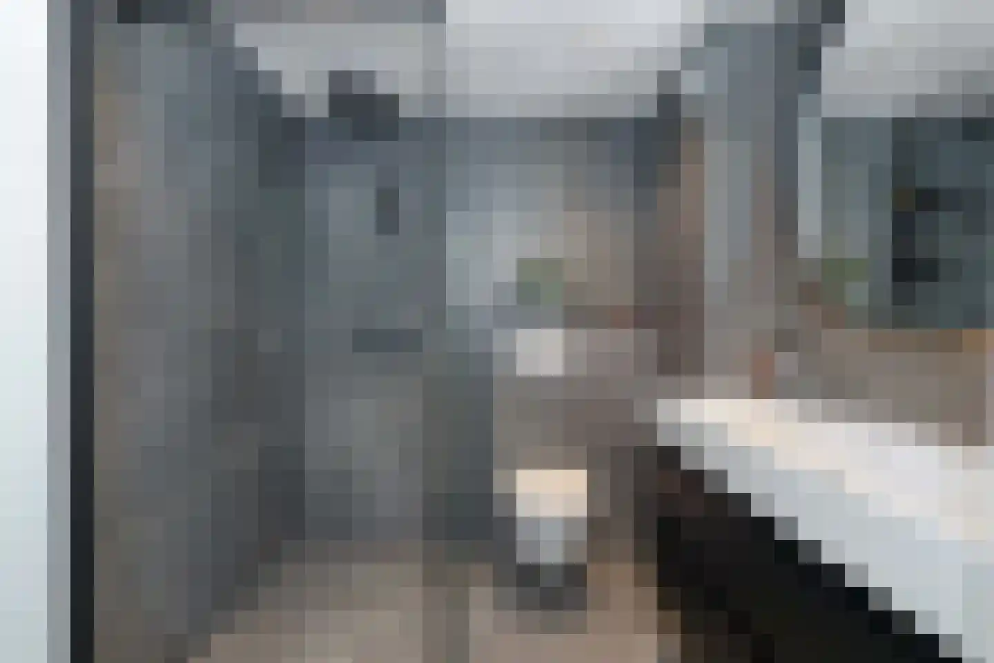 Kolkrijst 5 Hoogland thumbnail 19