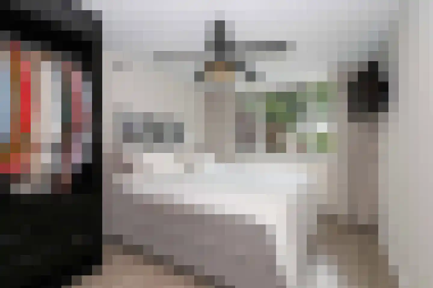 Kolkrijst 5 Hoogland thumbnail 20