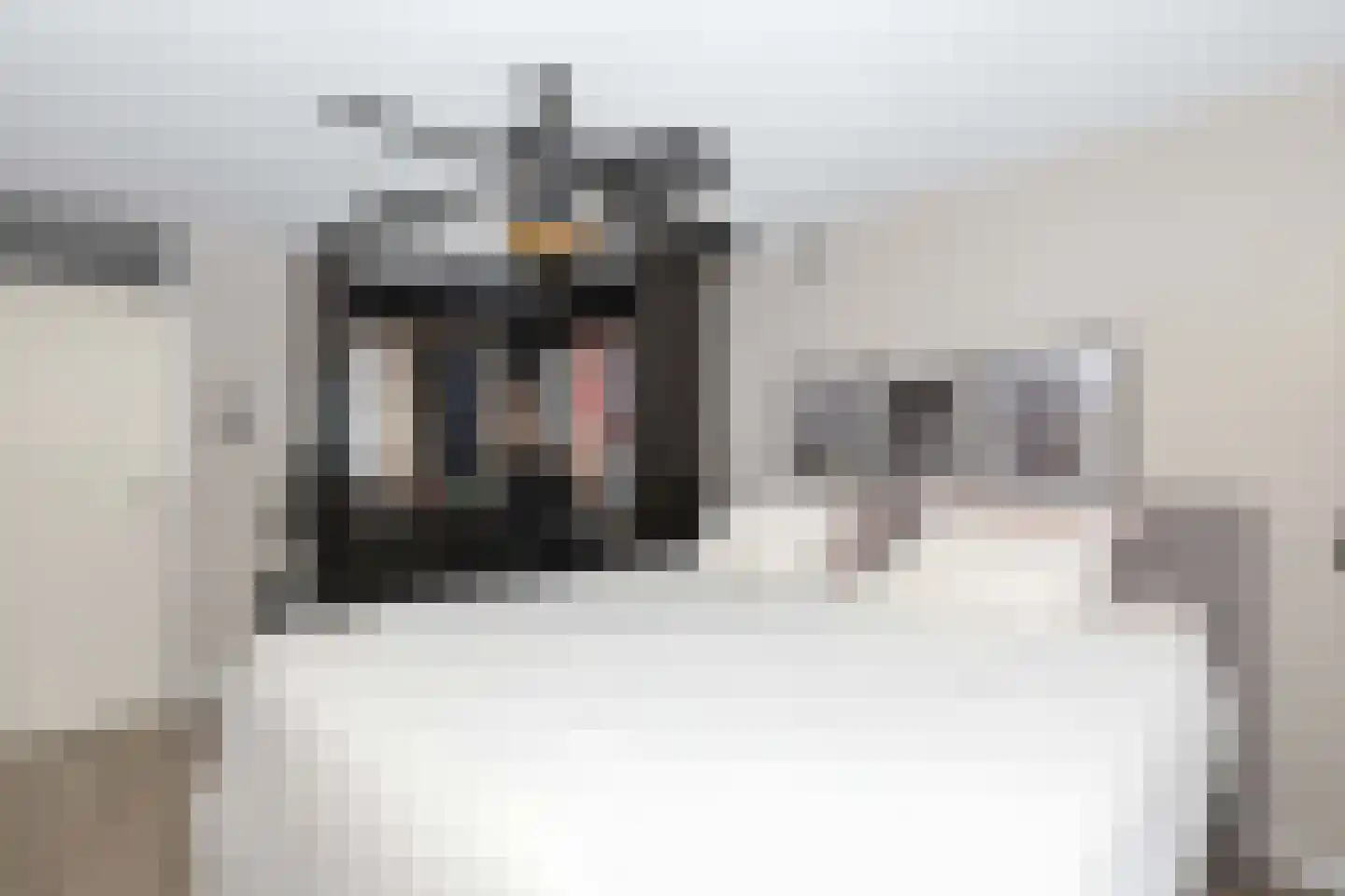 Kolkrijst 5 Hoogland thumbnail 21