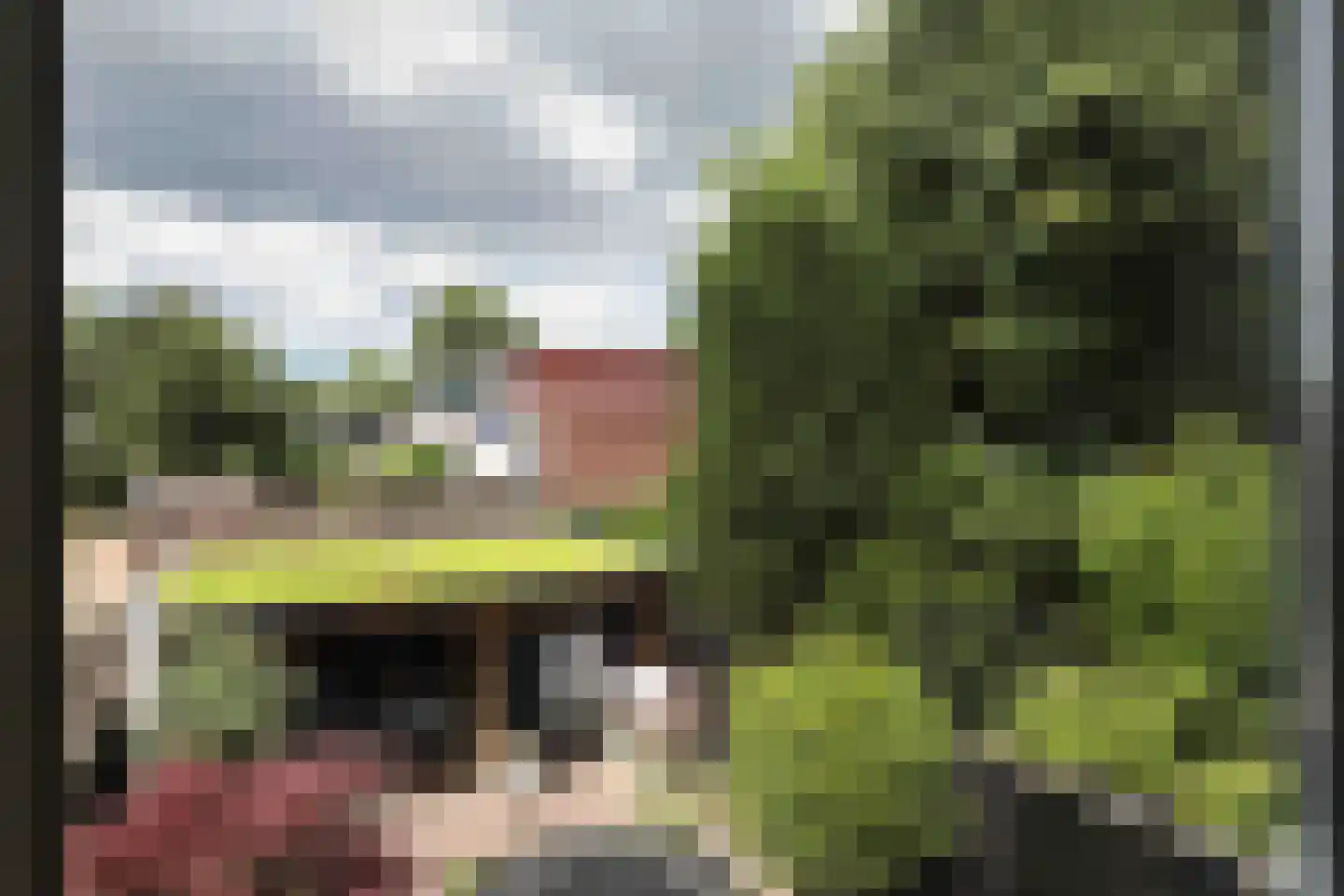 Kolkrijst 5 Hoogland thumbnail 23