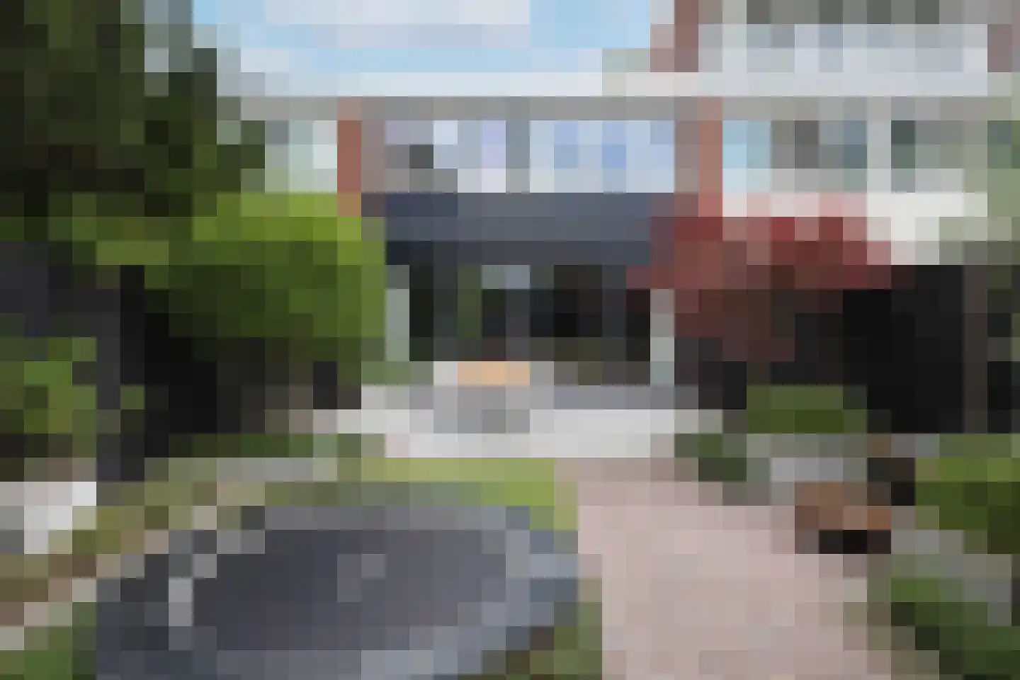 Kolkrijst 5 Hoogland thumbnail 24