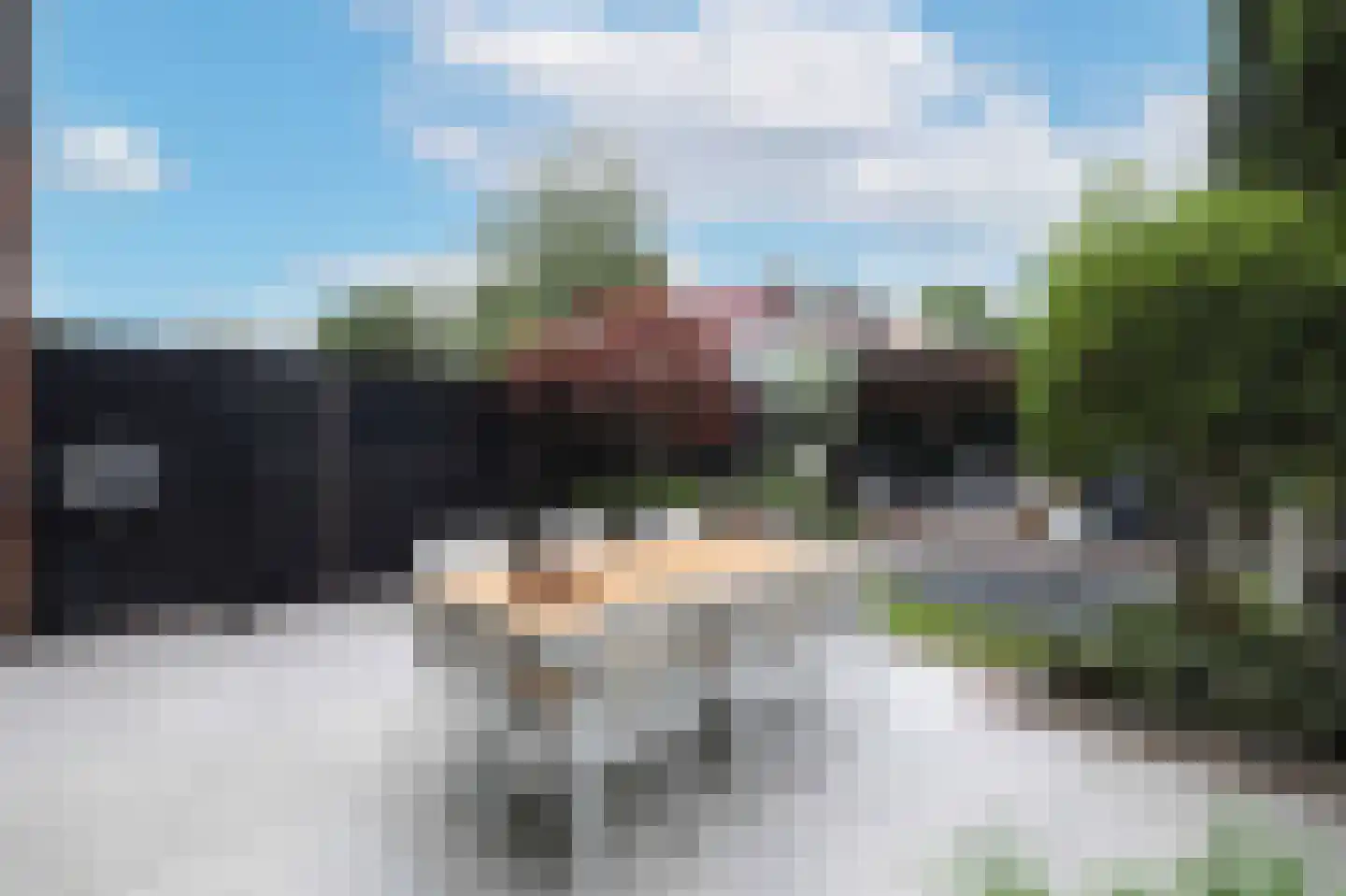 Kolkrijst 5 Hoogland thumbnail 25
