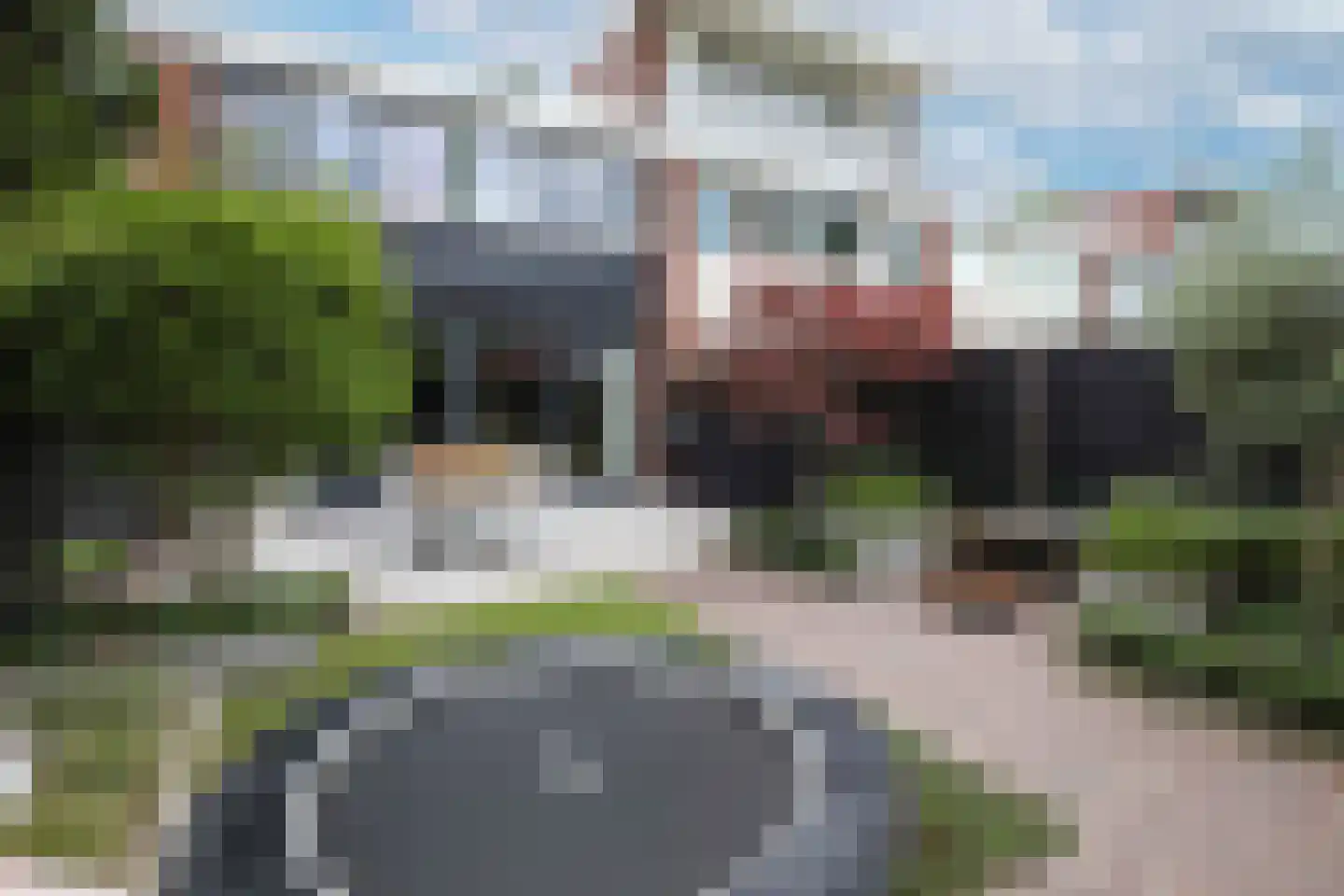 Kolkrijst 5 Hoogland thumbnail 28