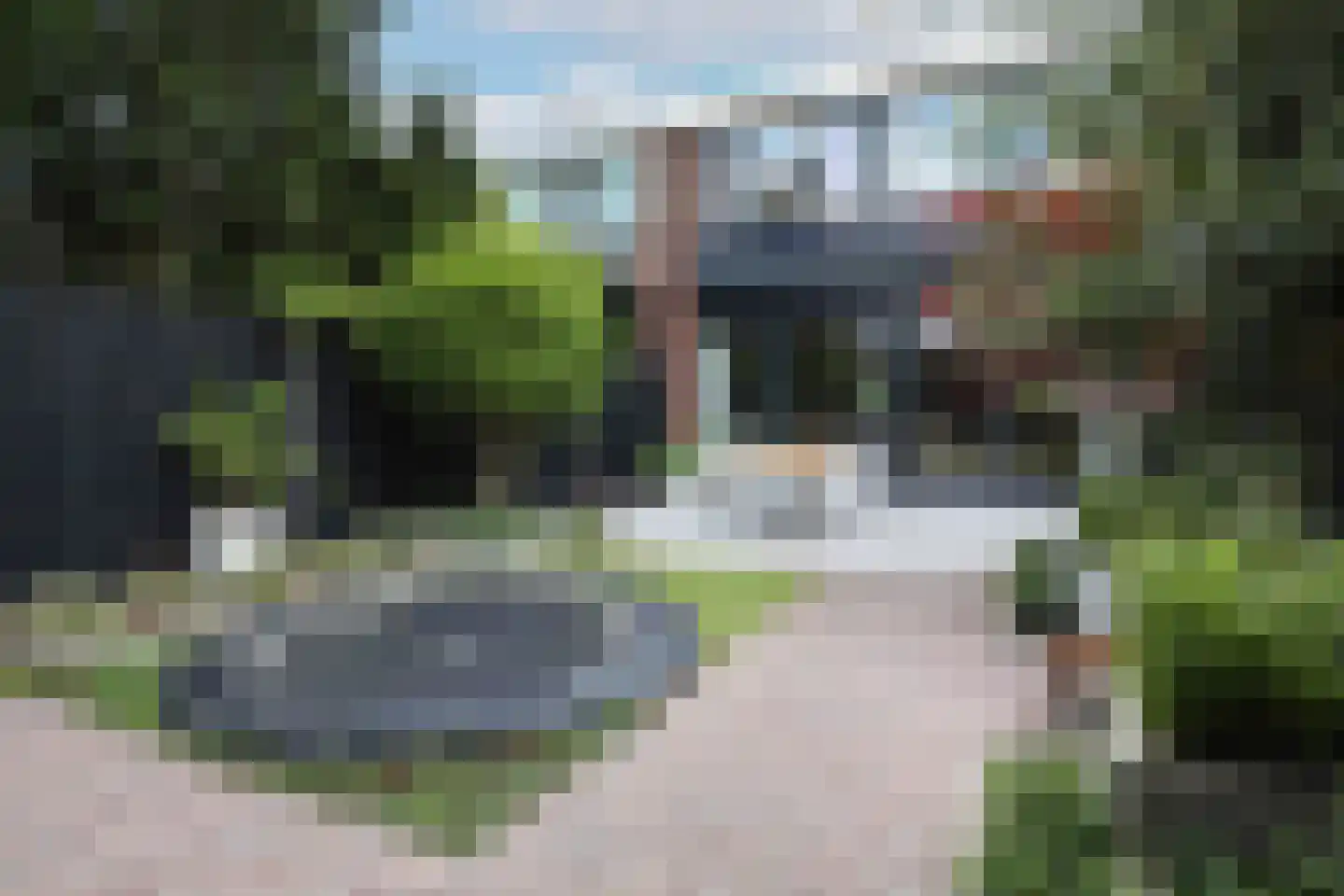 Kolkrijst 5 Hoogland thumbnail 29