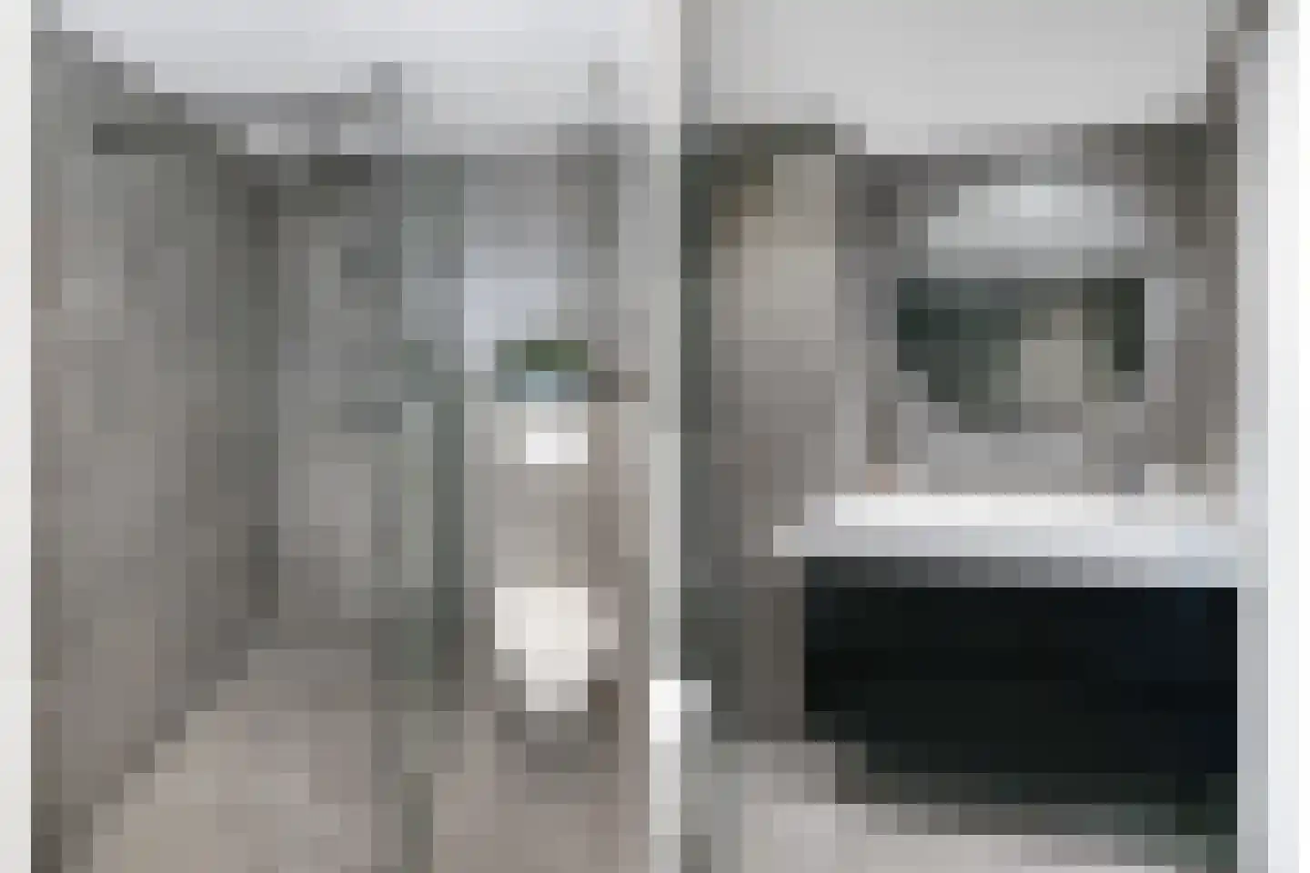 Kolkrijst 5 Hoogland thumbnail 4