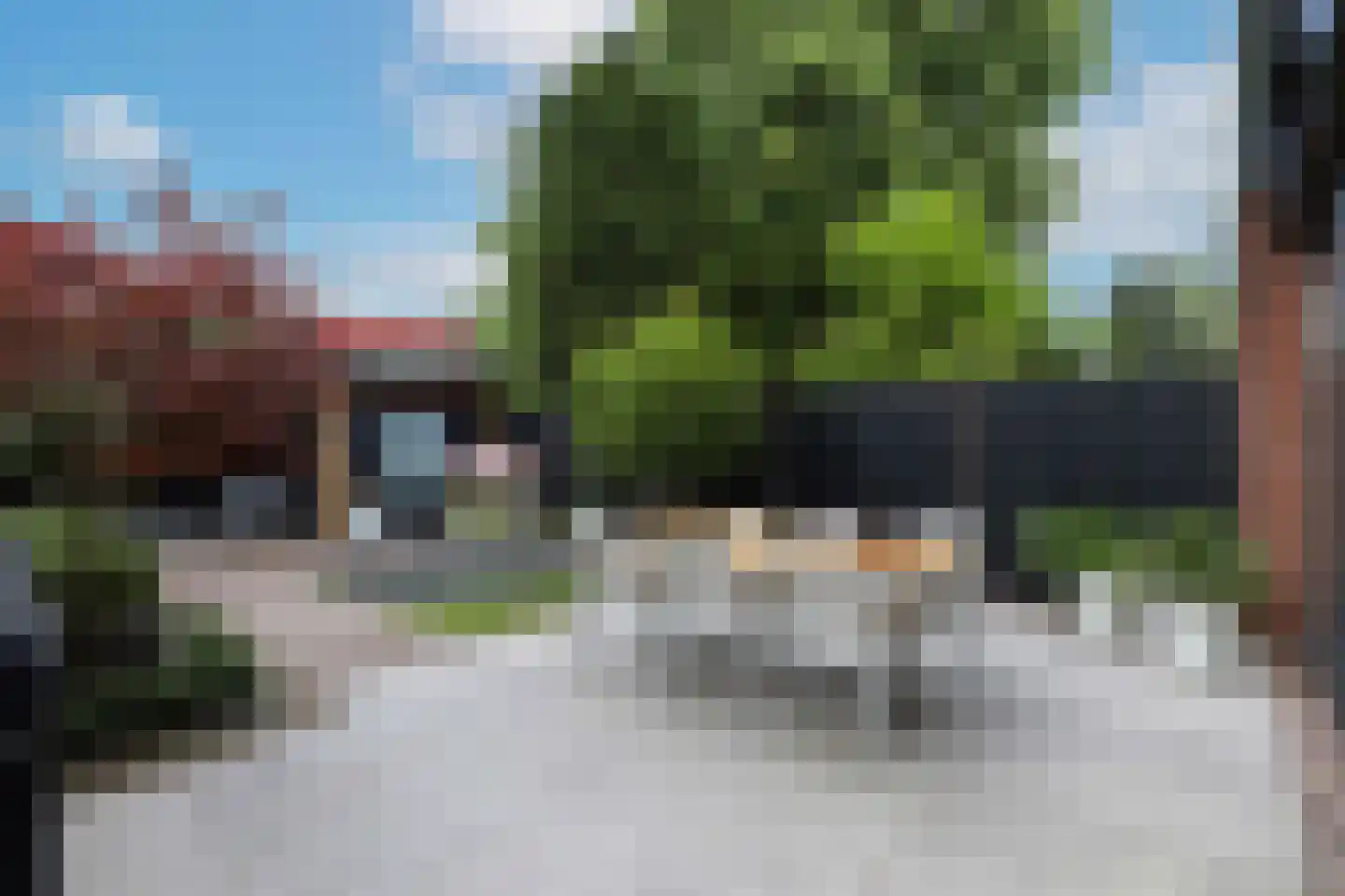 Kolkrijst 5 Hoogland thumbnail 5