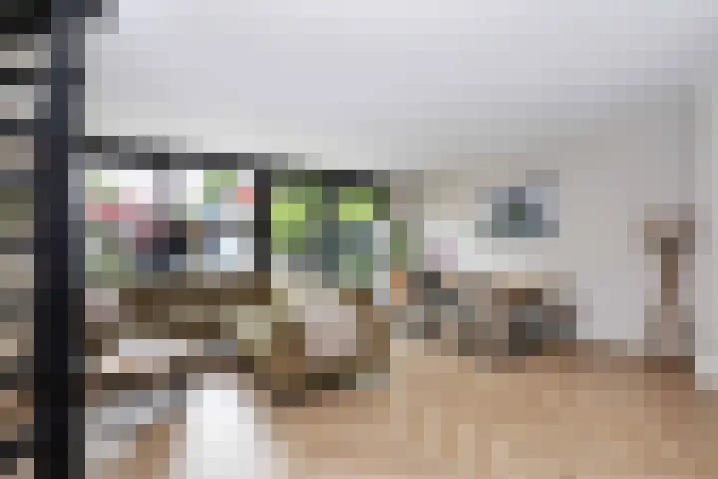 Kolkrijst 5 Hoogland thumbnail 9