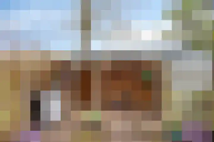 Kolkrijst 55 Hoogland thumbnail 10