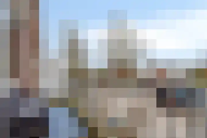 Kolkrijst 55 Hoogland thumbnail 13