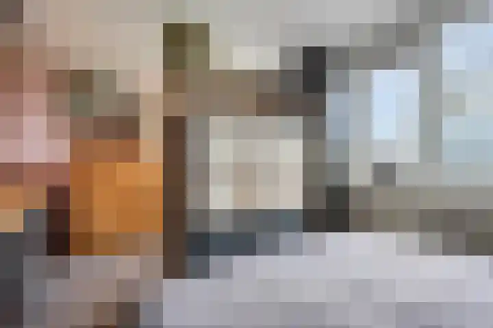 Kolkrijst 55 Hoogland thumbnail 18