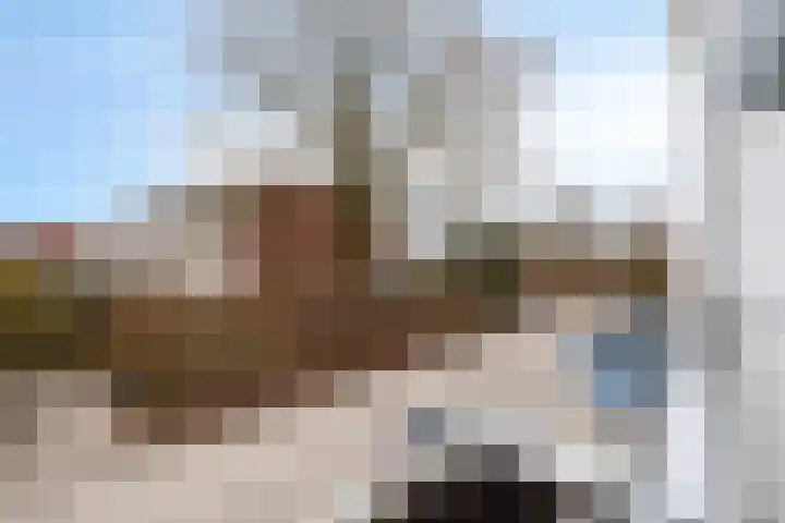 Kolkrijst 55 Hoogland thumbnail 20