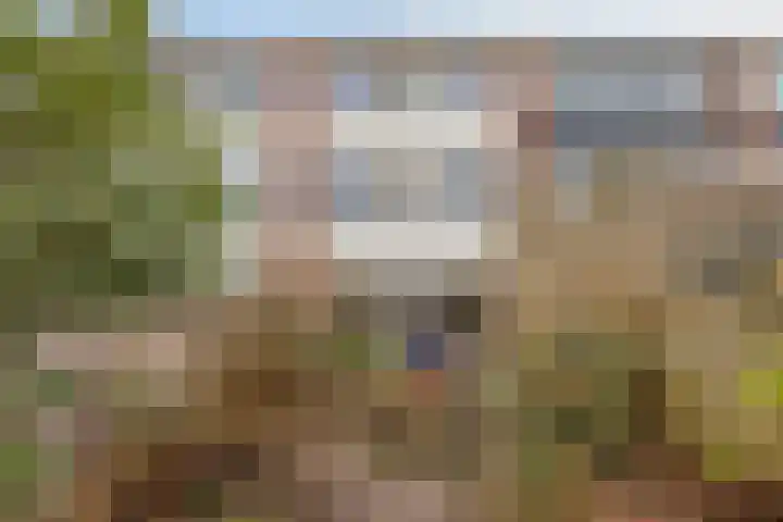 Kolkrijst 55 Hoogland thumbnail 21