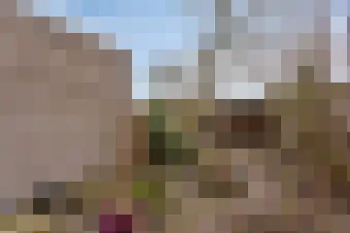 Kolkrijst 55 Hoogland thumbnail 9