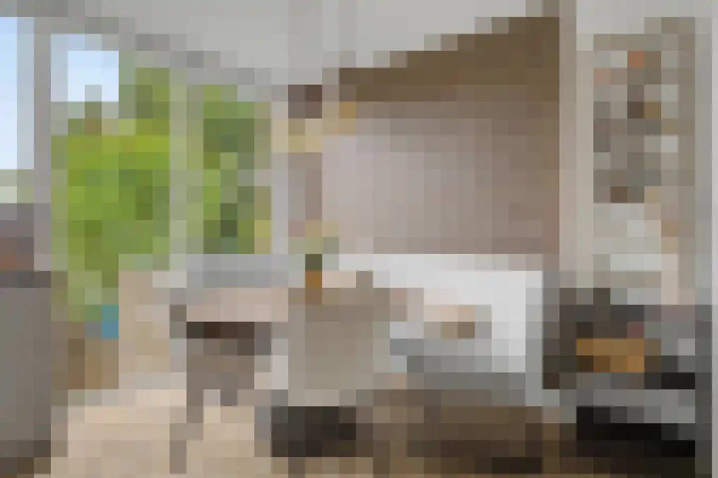 Kolkrijst 57 Hoogland thumbnail 12