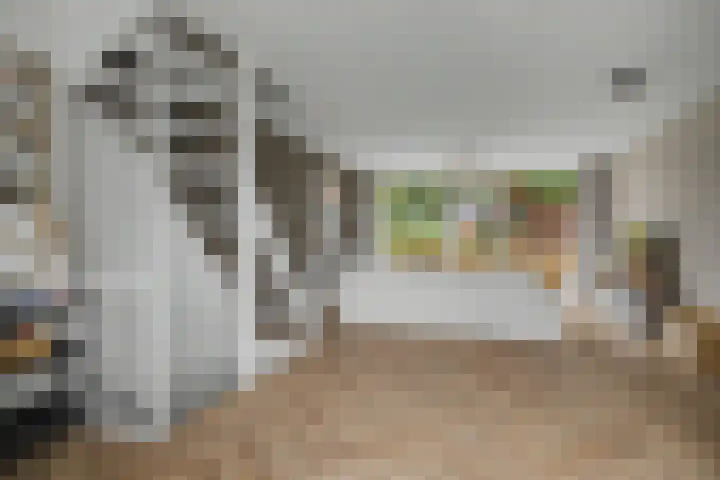 Kolkrijst 57 Hoogland thumbnail 16