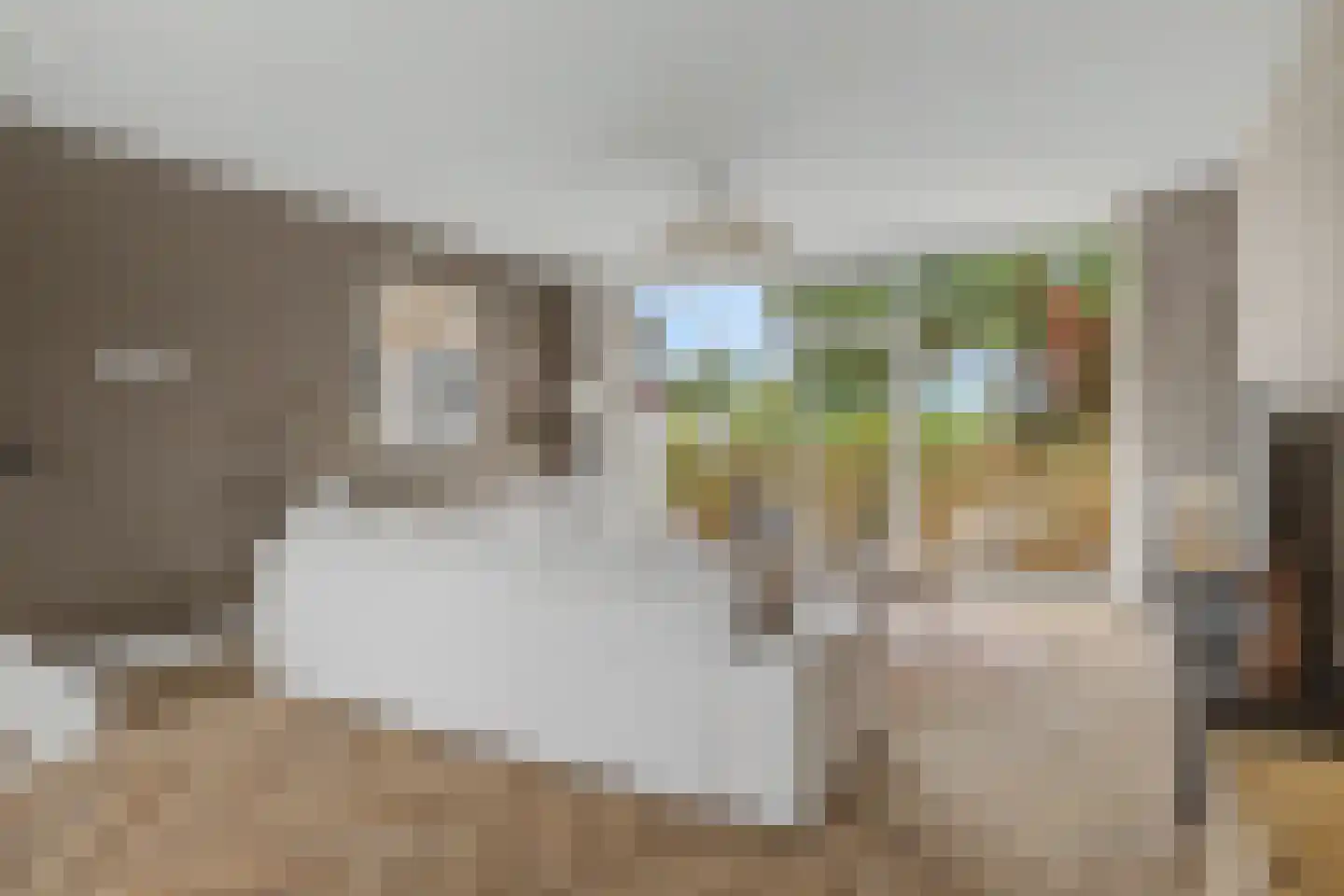 Kolkrijst 57 Hoogland thumbnail 17