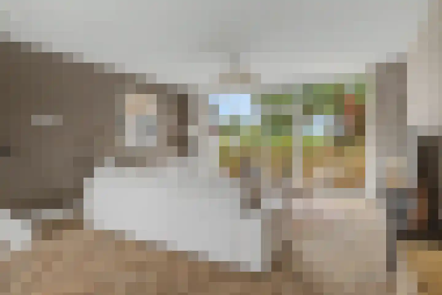 Kolkrijst 57 Hoogland thumbnail 18