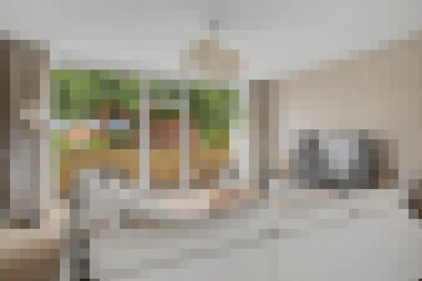 Kolkrijst 57 Hoogland thumbnail 19
