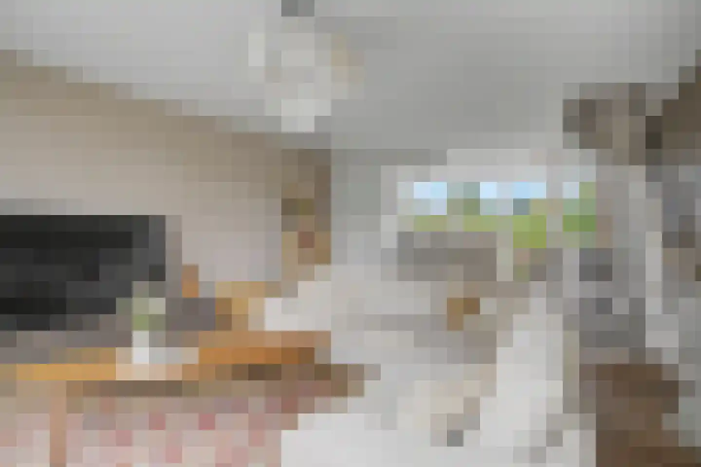 Kolkrijst 57 Hoogland thumbnail 21