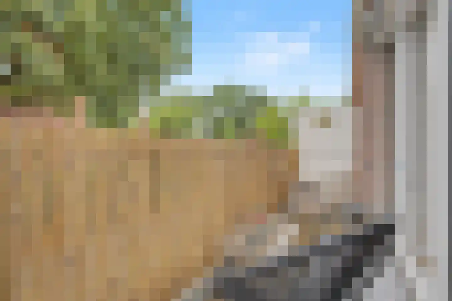 Kolkrijst 57 Hoogland thumbnail 22