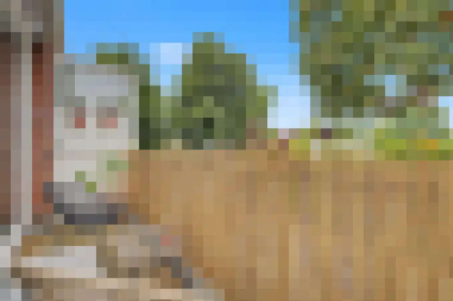 Kolkrijst 57 Hoogland thumbnail 23