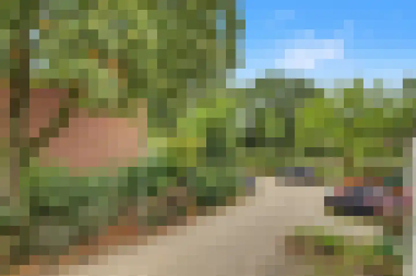 Kolkrijst 57 Hoogland thumbnail 24
