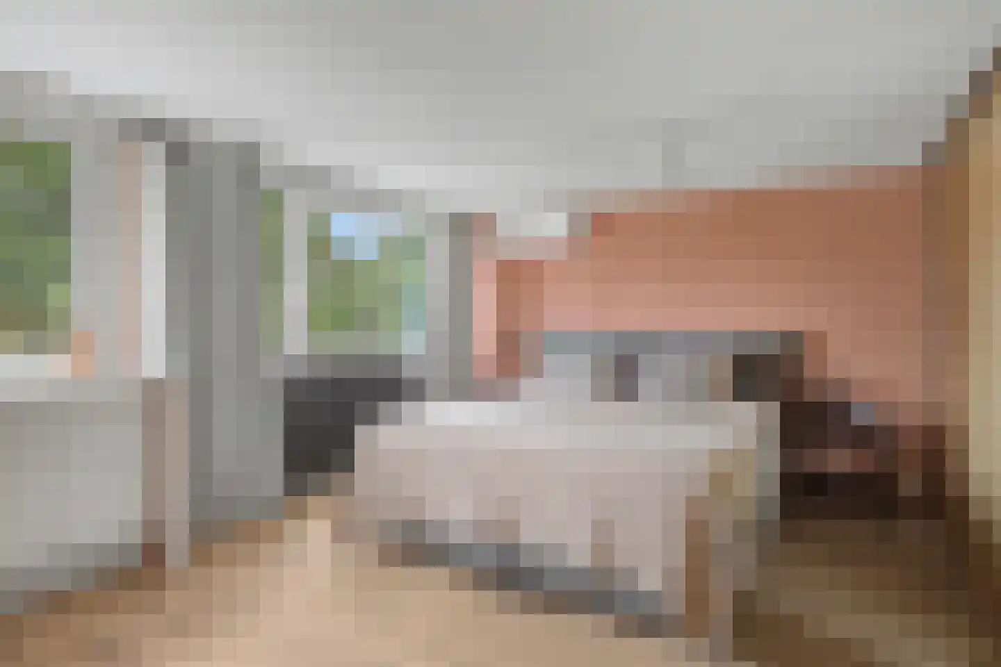 Kolkrijst 57 Hoogland thumbnail 27
