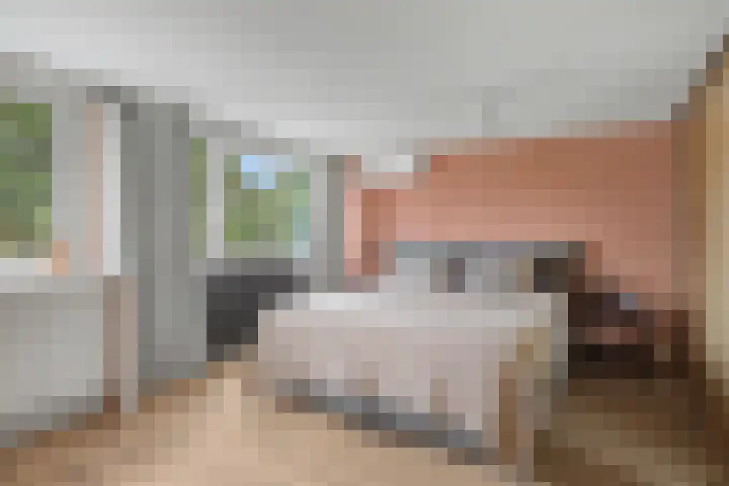 Kolkrijst 57 Hoogland thumbnail 27