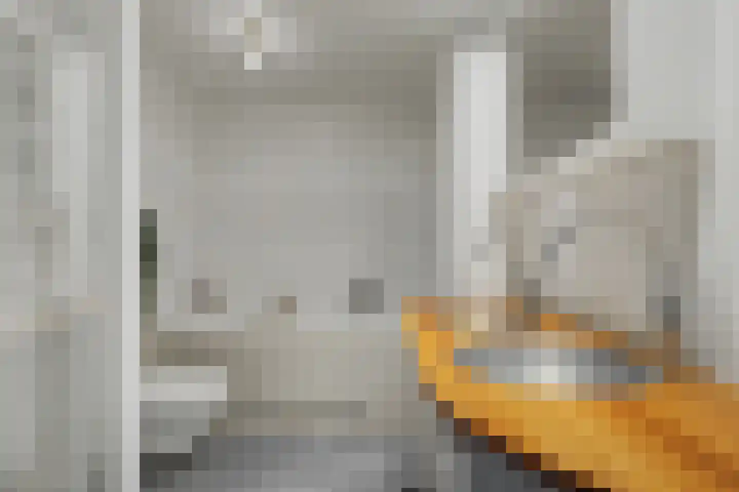 Kolkrijst 57 Hoogland thumbnail 30