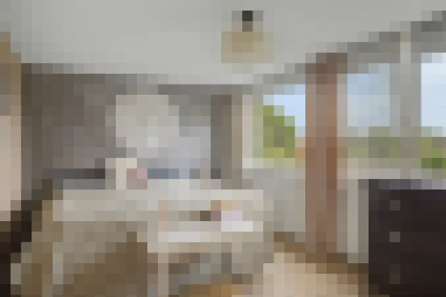 Kolkrijst 57 Hoogland thumbnail 33
