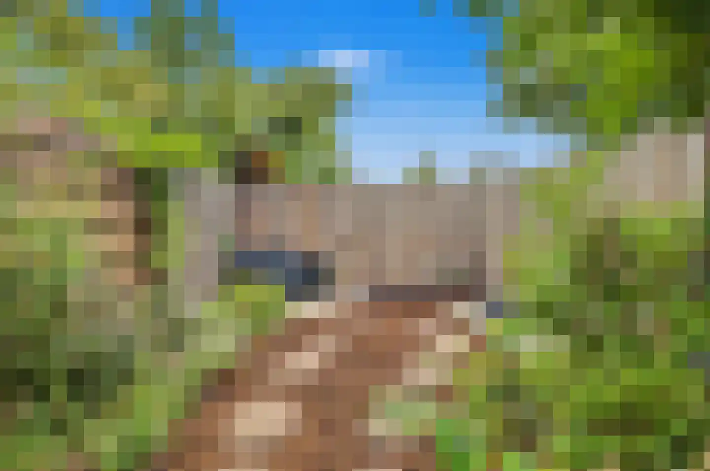 Kolkrijst 57 Hoogland thumbnail 36