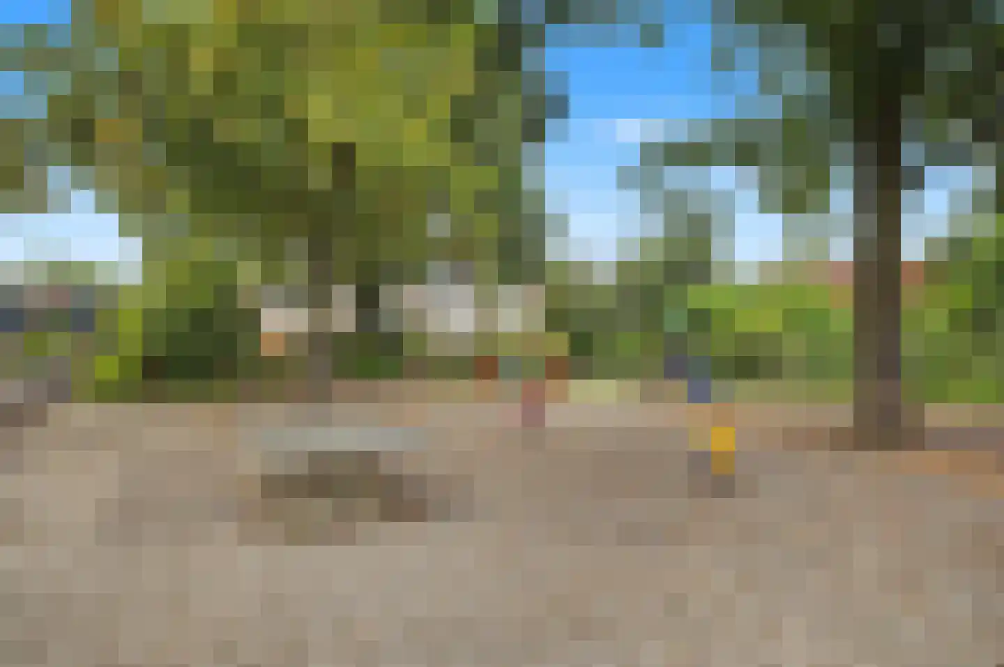 Kolkrijst 57 Hoogland thumbnail 40