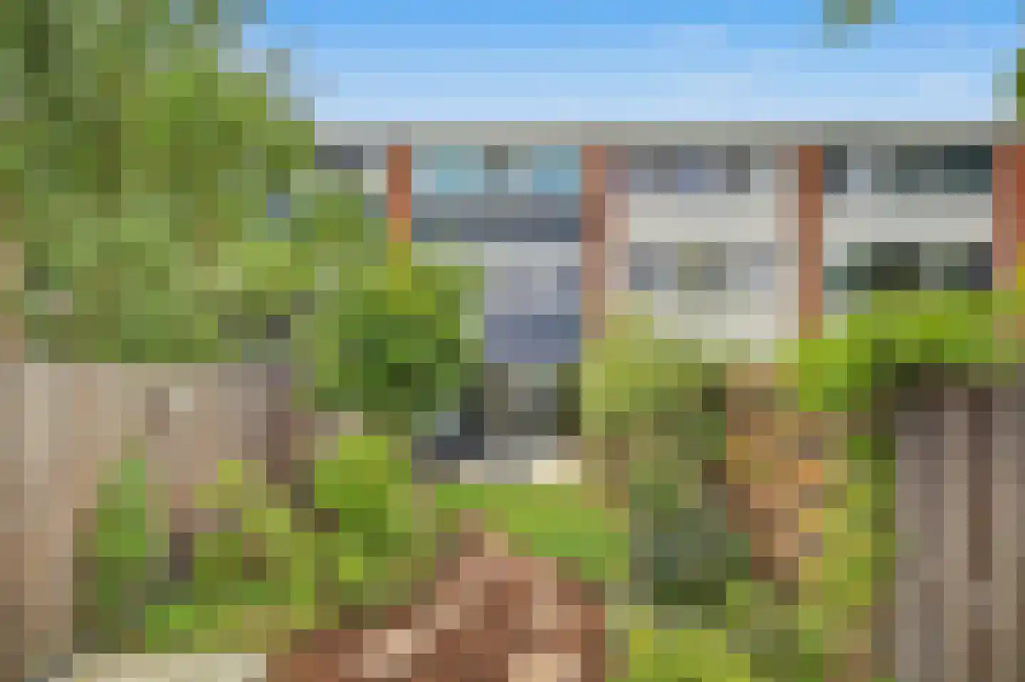 Kolkrijst 57 Hoogland thumbnail 5