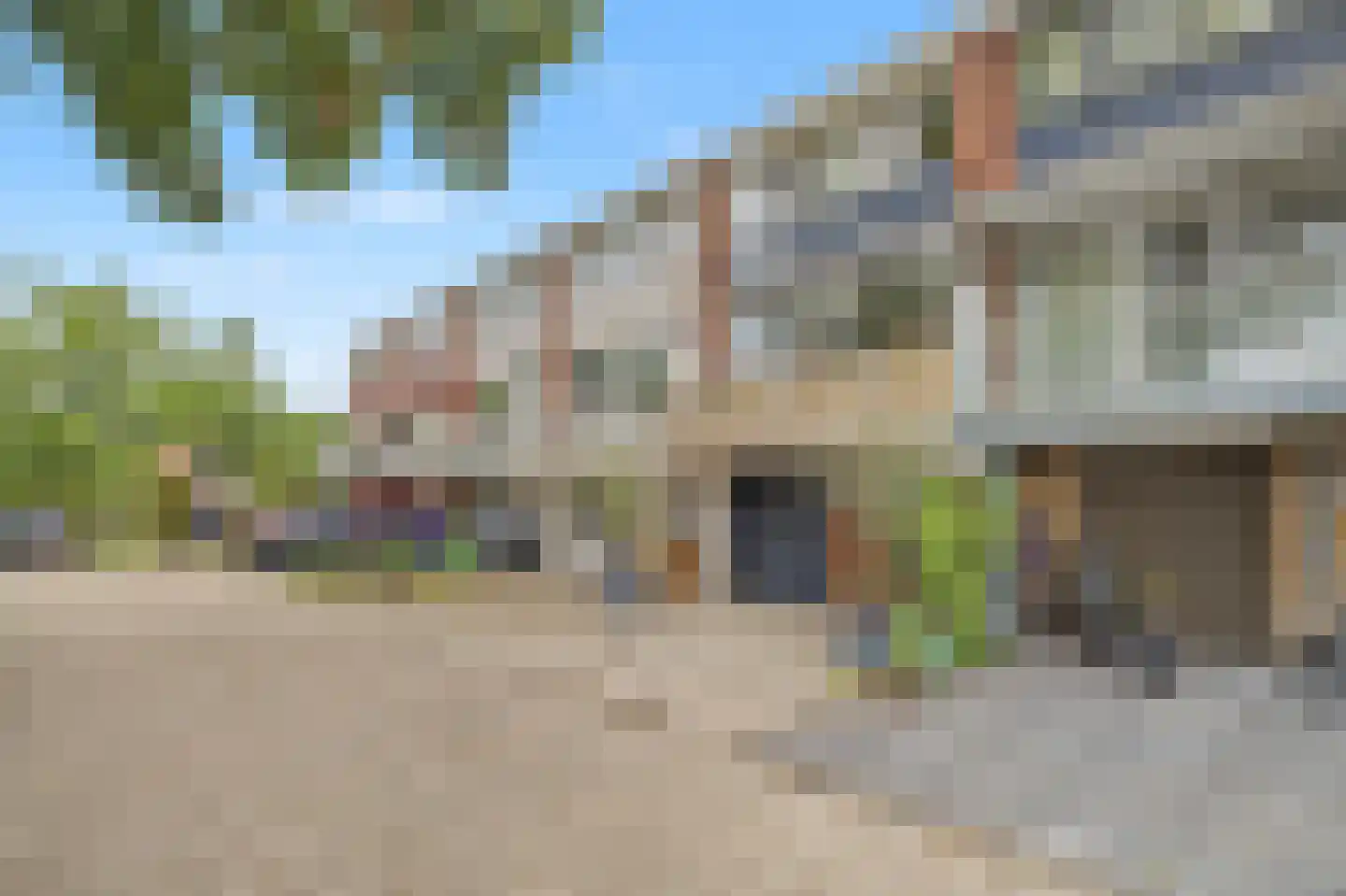Kolkrijst 57 Hoogland thumbnail 6