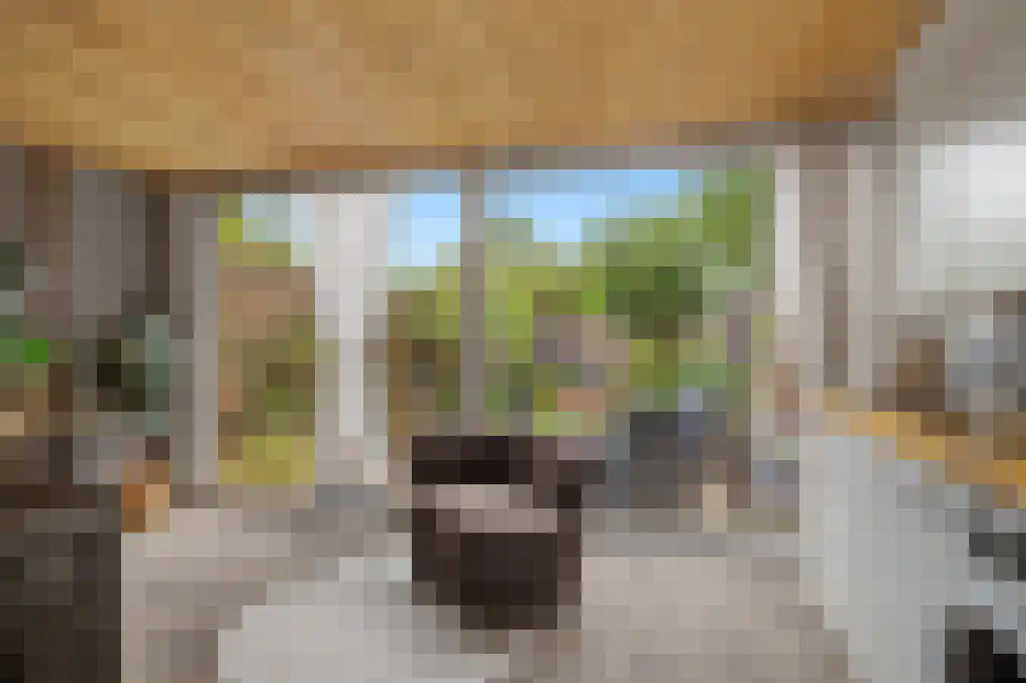 Kolkrijst 57 Hoogland thumbnail 7