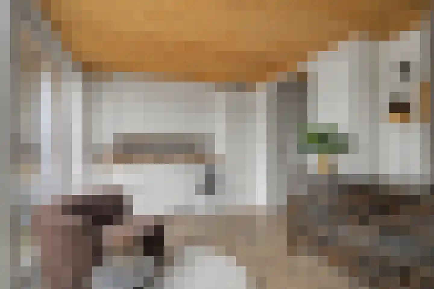 Kolkrijst 57 Hoogland thumbnail 8