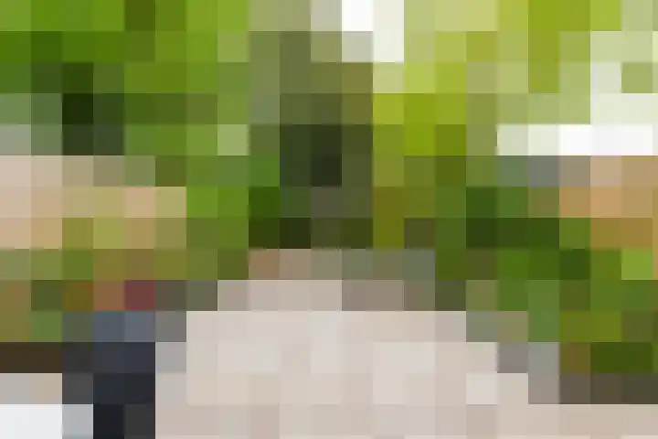 Kolkrijst 73 Hoogland thumbnail 17