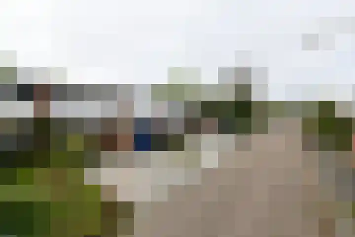 Kolkrijst 73 Hoogland thumbnail 19