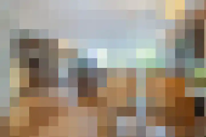 Kolkrijst 79 Hoogland thumbnail 10
