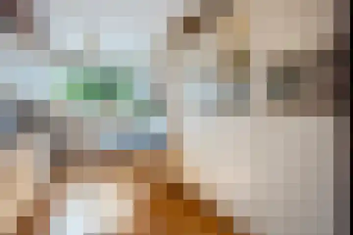 Kolkrijst 79 Hoogland thumbnail 12