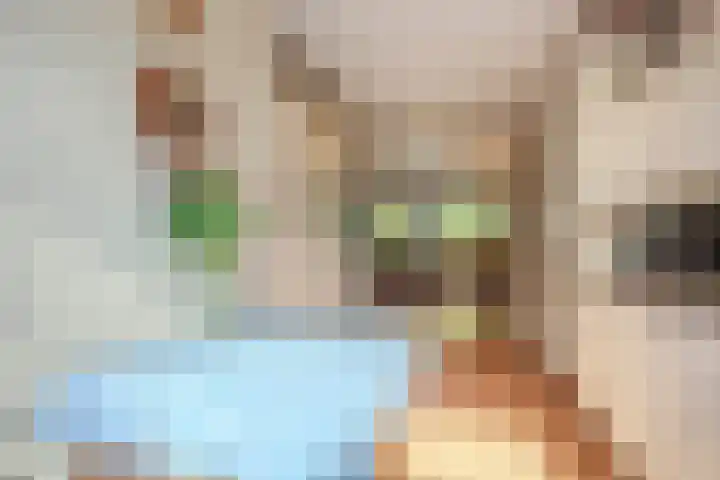 Kolkrijst 79 Hoogland thumbnail 13