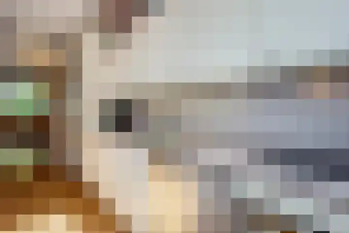 Kolkrijst 79 Hoogland thumbnail 14