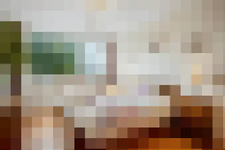 Kolkrijst 79 Hoogland thumbnail 21
