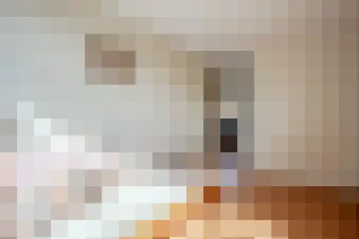 Kolkrijst 79 Hoogland thumbnail 23
