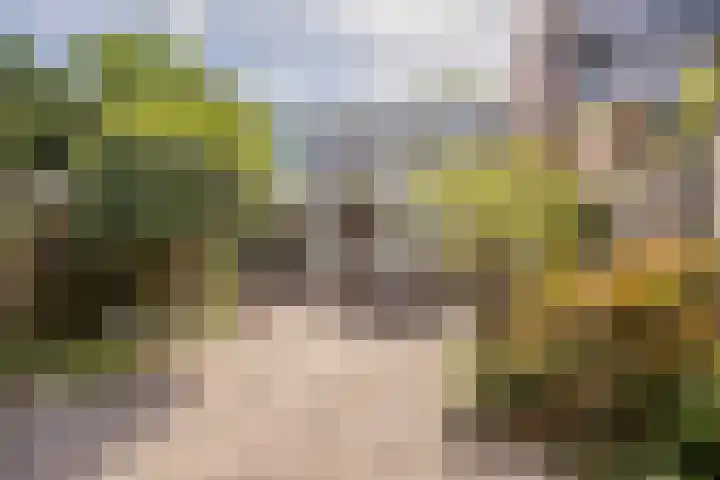 Kolkrijst 79 Hoogland thumbnail 25