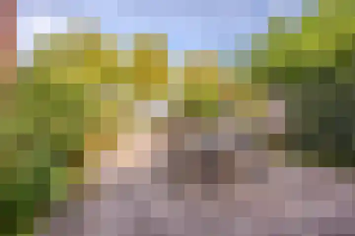 Kolkrijst 79 Hoogland thumbnail 26