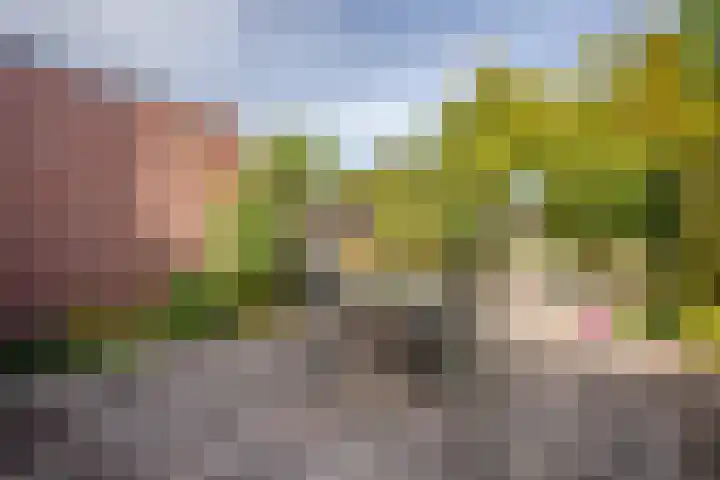 Kolkrijst 79 Hoogland thumbnail 27
